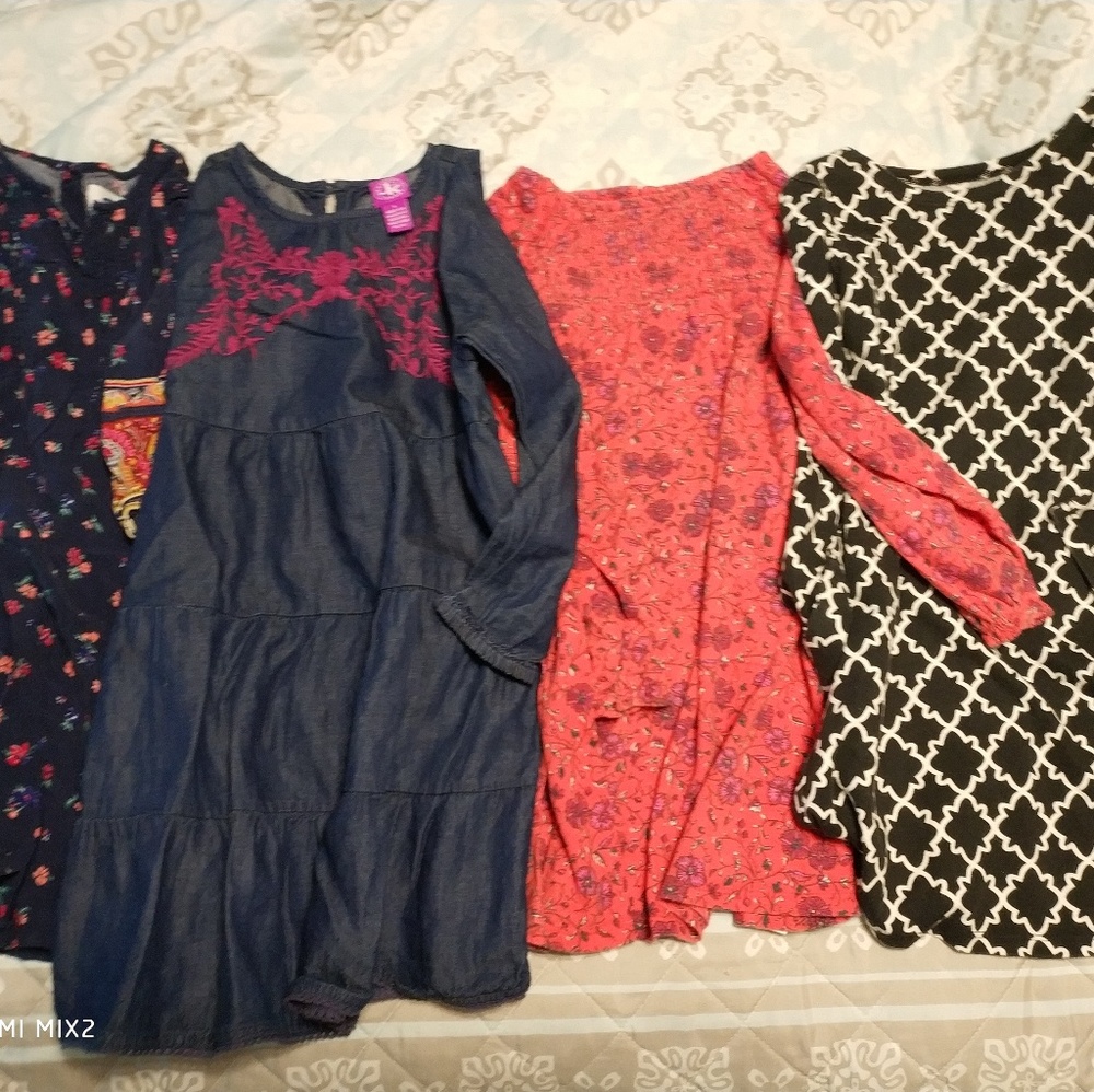 Dress lot. 4 dresses. (5t)